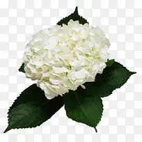 �����л��������-����-������