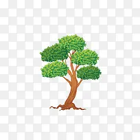 ʸ���ֻ���ɫ��֦-������