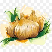 矢量大蒜-空若网 矢量大蒜-空若网