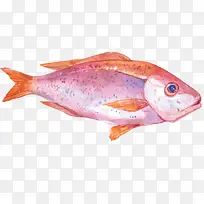 ÊÖ»æ²Ê»æÐÂÏʵĺ£ÏÊʳÎï-¿ÕÈôÍø ÊÖ»æ²Ê»æÐÂÏʵĺ£ÏÊʳÎï-¿ÕÈôÍø