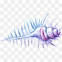 手绘海螺海参-空若网 手绘海螺海参-空若网