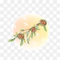 板栗卡通矢量素材-空若网 板栗卡通矢量素材-空若网