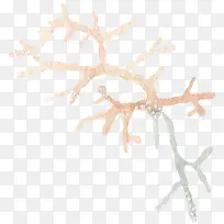 Êֻ溣²Ý-¿ÕÈôÍø Êֻ溣²Ý-¿ÕÈôÍø