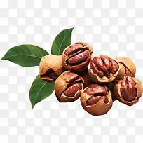 ɽ������Ҷ-������