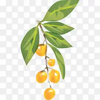 绿色水彩扁平水果-空若网 绿色水彩扁平水果-空若网