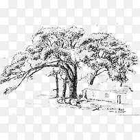 ��-������