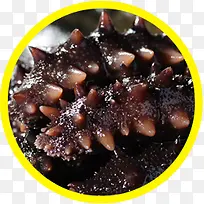 食物-空若网 食物-空若网