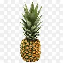 水果菠萝产品实物素材-空若网 水果菠萝产品实物素材-空若网