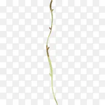 黄色水墨树枝-空若网 黄色水墨树枝-空若网