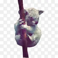 考拉水彩画素材图片-空若网 考拉水彩画素材图片-空若网