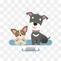 雪纳瑞和大耳朵狗的照片-空若网 雪纳瑞和大耳朵狗的照片-空若网