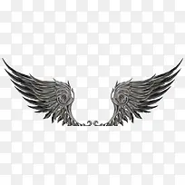 灰黑色翅膀-空若网 灰黑色翅膀-空若网