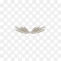 灰色翅膀-空若网 灰色翅膀-空若网