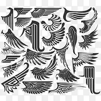 黑色翅膀-空若网 黑色翅膀-空若网