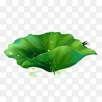 荷花中式精美插画-空若网 荷花中式精美插画-空若网