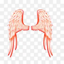 红色翅膀-空若网 红色翅膀-空若网