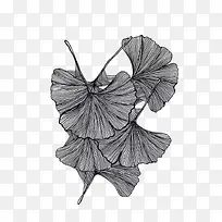 创意荷叶插画-空若网 创意荷叶插画-空若网