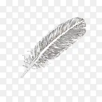 ��ɫ��ë-������