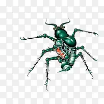 ���� �� ����Ч�� ����-������