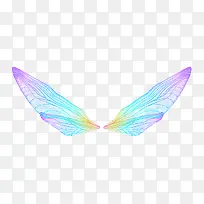 鸟羽毛彩色 梦幻炫彩蝴蝶翅膀-空若网 鸟羽毛彩色 梦幻炫彩蝴蝶翅膀-空若网