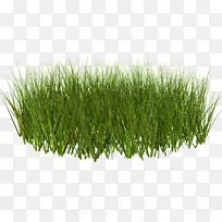 �����ֽ������.����-������