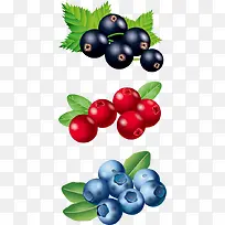 矢量水果-空若网 矢量水果-空若网