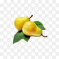 水果梨子食品食物-空若网 水果梨子食品食物-空若网