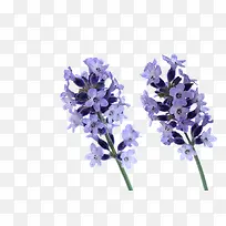 Þ¹Ò²ÝÌØÐ´-¿ÕÈôÍø Þ¹Ò²ÝÌØÐ´-¿ÕÈôÍø