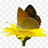 �����ͻ�-������