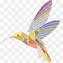 多彩线条蜂鸟-空若网 多彩线条蜂鸟-空若网