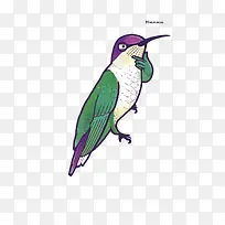 矢量思考的蜂鸟-空若网 矢量思考的蜂鸟-空若网