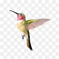 ʸÁ¿·äÄñ-¿ÕÈôÍø ʸÁ¿·äÄñ-¿ÕÈôÍø