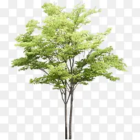 ��-������