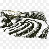 手绘茶园-空若网 手绘茶园-空若网