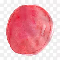 透明水彩画绘图教程.水彩画仙人掌-空若网 透明水彩画绘图教程.水彩画仙人掌-空若网