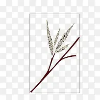 ��ɫ��-������