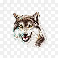 矢量狼头-空若网 矢量狼头-空若网