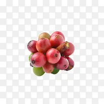 红色成熟的一串咖啡果实物-空若网 红色成熟的一串咖啡果实物-空若网