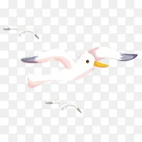 �ɰ��Ÿ�-������