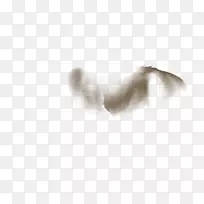 狗白羽毛鼻子翅膀涟漪-空若网 狗白羽毛鼻子翅膀涟漪-空若网