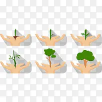 矢量树生长过程-空若网 矢量树生长过程-空若网