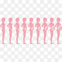 生子的肚子-空若网 生子的肚子-空若网