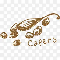 甘果火锅食物香料-空若网 甘果火锅食物香料-空若网