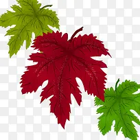 手绘葡萄叶子-空若网 手绘葡萄叶子-空若网