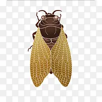 »Æ³á²õÖªÁËʸÁ¿ËزÄ-¿ÕÈôÍø »Æ³á²õÖªÁËʸÁ¿ËزÄ-¿ÕÈôÍø