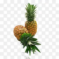 ���Ų���-������