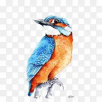 ������-������