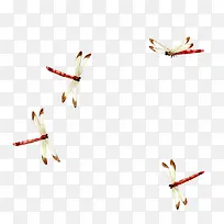 ·ÉÎèµÄòßòÑ-¿ÕÈôÍø ·ÉÎèµÄòßòÑ-¿ÕÈôÍø