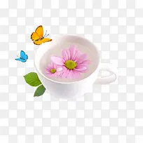 ±×Ó-¿ÕÈôÍø ±×Ó-¿ÕÈôÍø