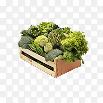 蔬菜合集-空若网 蔬菜合集-空若网